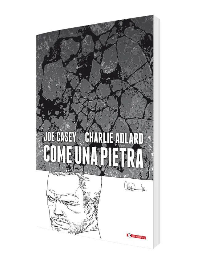 saldapress-come-una-pietra-graphic-novel-di-fabio-guaglione-e-riccardo-burchiell image 1