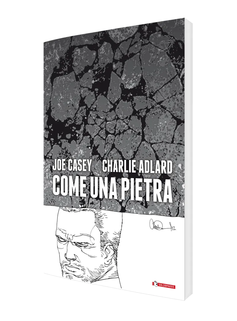 saldapress-come-una-pietra-graphic-novel-di-fabio-guaglione-e-riccardo-burchiell image 1
